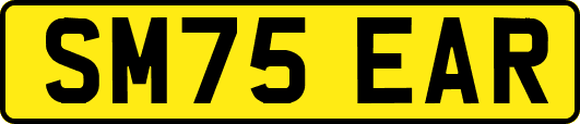 SM75EAR