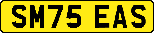 SM75EAS