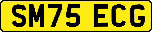 SM75ECG