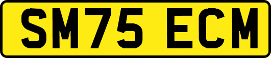 SM75ECM