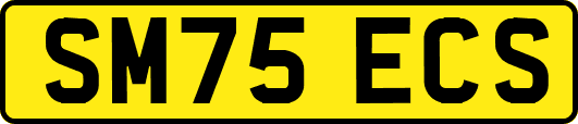 SM75ECS