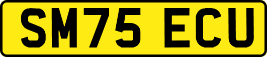 SM75ECU