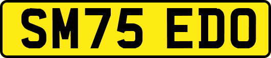 SM75EDO