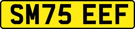 SM75EEF