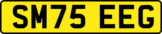 SM75EEG