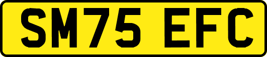 SM75EFC