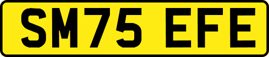 SM75EFE