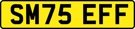 SM75EFF