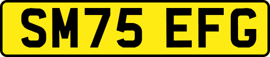 SM75EFG