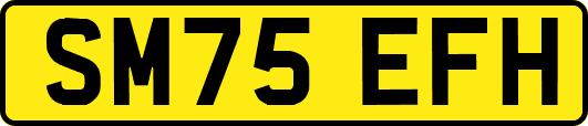 SM75EFH