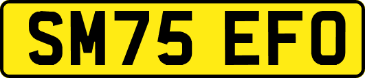 SM75EFO