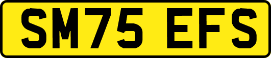 SM75EFS