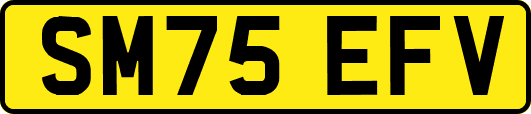 SM75EFV