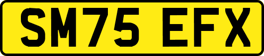 SM75EFX