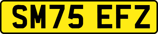 SM75EFZ