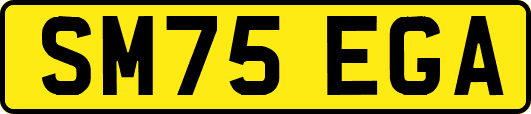 SM75EGA