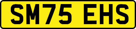 SM75EHS