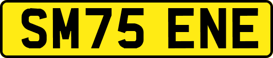 SM75ENE