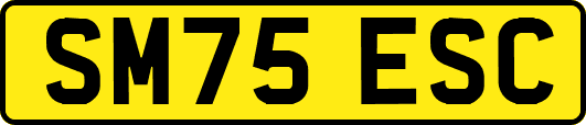 SM75ESC