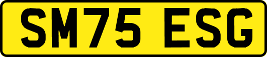 SM75ESG