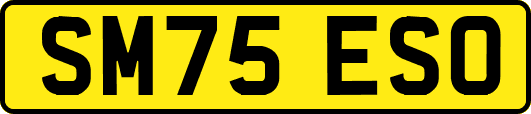 SM75ESO