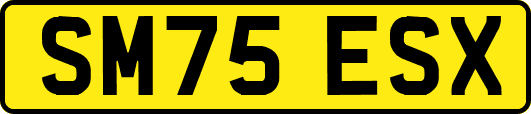 SM75ESX