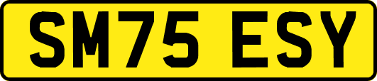 SM75ESY