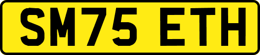 SM75ETH