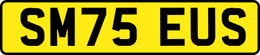 SM75EUS