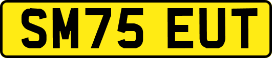 SM75EUT