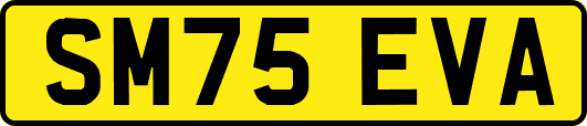 SM75EVA