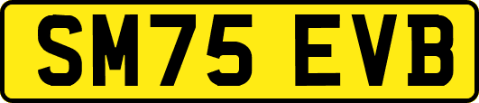 SM75EVB