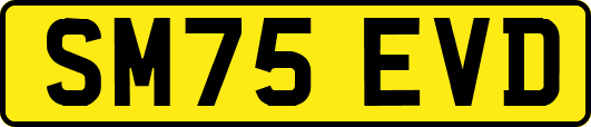 SM75EVD
