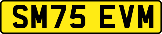 SM75EVM