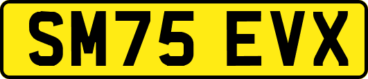 SM75EVX