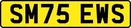 SM75EWS