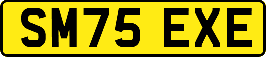 SM75EXE