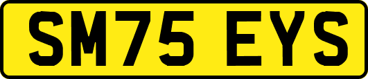 SM75EYS