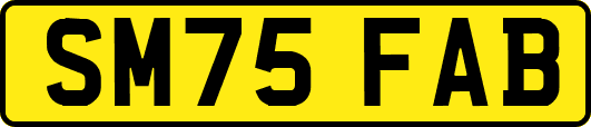 SM75FAB