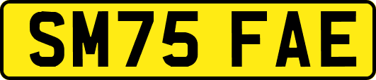SM75FAE