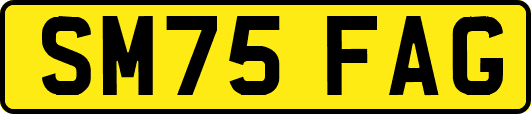 SM75FAG