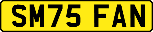 SM75FAN