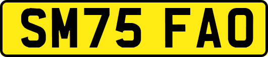 SM75FAO