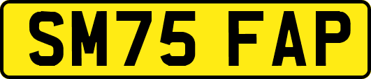 SM75FAP