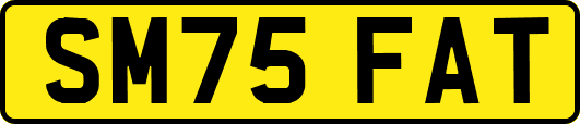 SM75FAT
