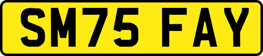 SM75FAY