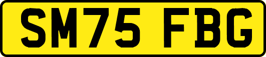 SM75FBG