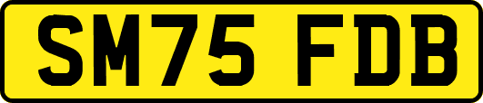 SM75FDB