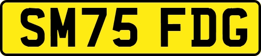 SM75FDG