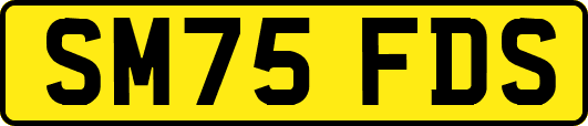 SM75FDS